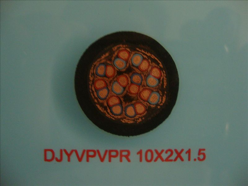 DJYVPVPR 10*2*1.5计算机屏蔽软电缆